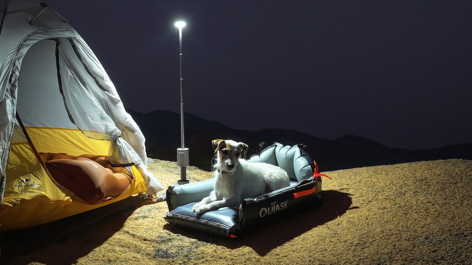 Easter Adventures with Your Dog: Why Comfort Matters Outdoors