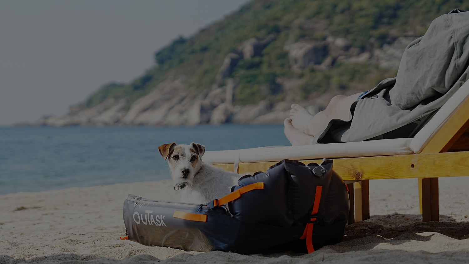 AirPad vs. Traditional Dog Beds: The Better Outdoor Choice?