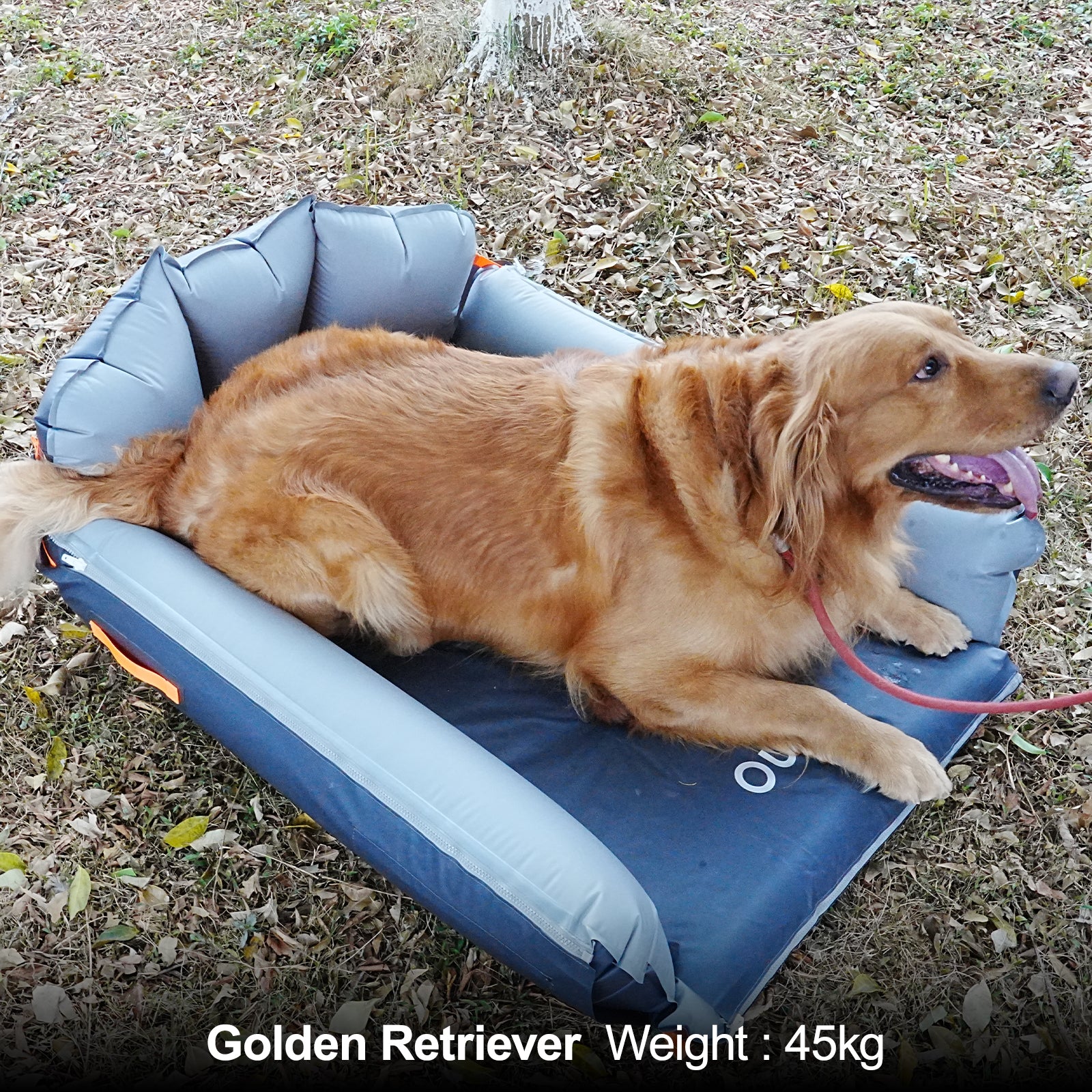 JessiGo Outdogs Airpad