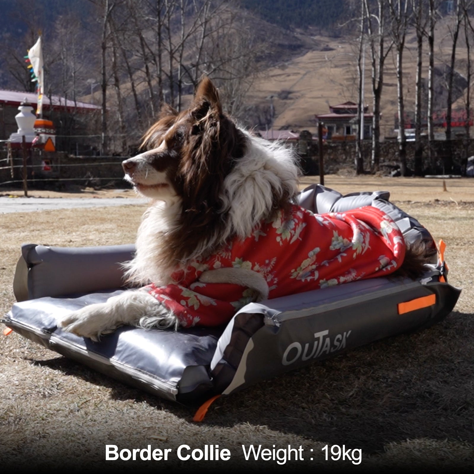 JessiGo Outdogs Airpad