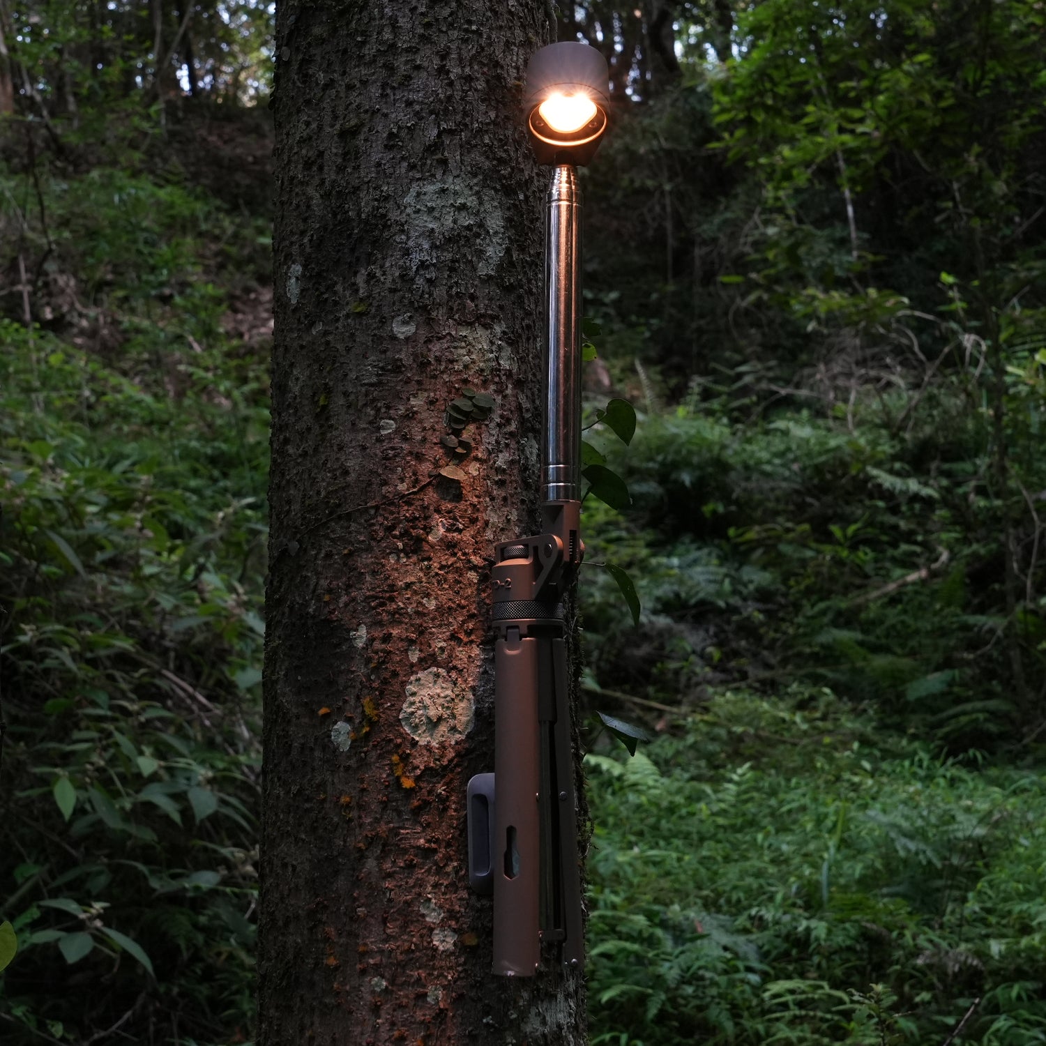 TD2 Telescopic Lantern Wall Hook Kit